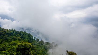 La foresta amazzonica dell'Ecuador
