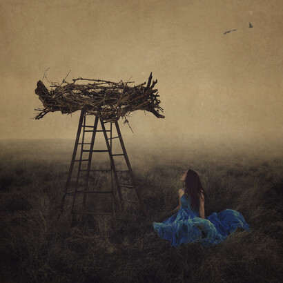 Il nido.  Ph Brooke Shaden