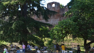 Sottosopra Pozzobon, Castelfranco Veneto, Italia