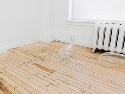 But both are sensitive. Courtesy of Projet Pangée