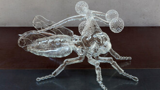 Unknown Species, 2017