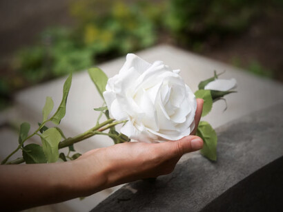 White flowers are commonly found in graveyards, where they symbolize purity and are frequently used in funeral arrangements to pay tribute to the departed