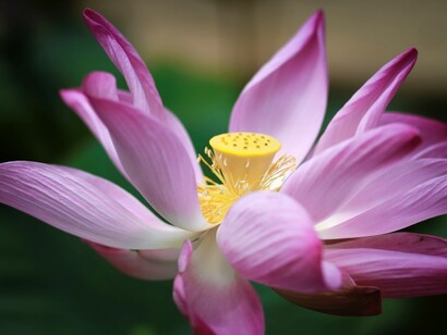 I ricordi delle vacanze estive ci accompagnano e ci motivano nei mesi a venire
