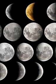 Moon Phases