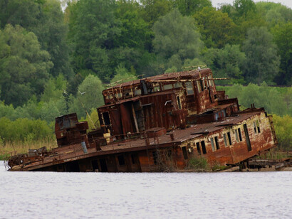 A área ao redor de Tchernóbil, apesar de sua devastação, tornou-se um refúgio inesperado para a vida selvagem, destacando o impacto humano no meio ambiente. Rio Pripyat em Chernobyl, Ucrânia. Naufrágio abandonado após o acidente nuclear de 1986