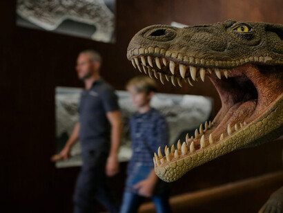 Il Museo dei Fossili a Monte San Giorgio