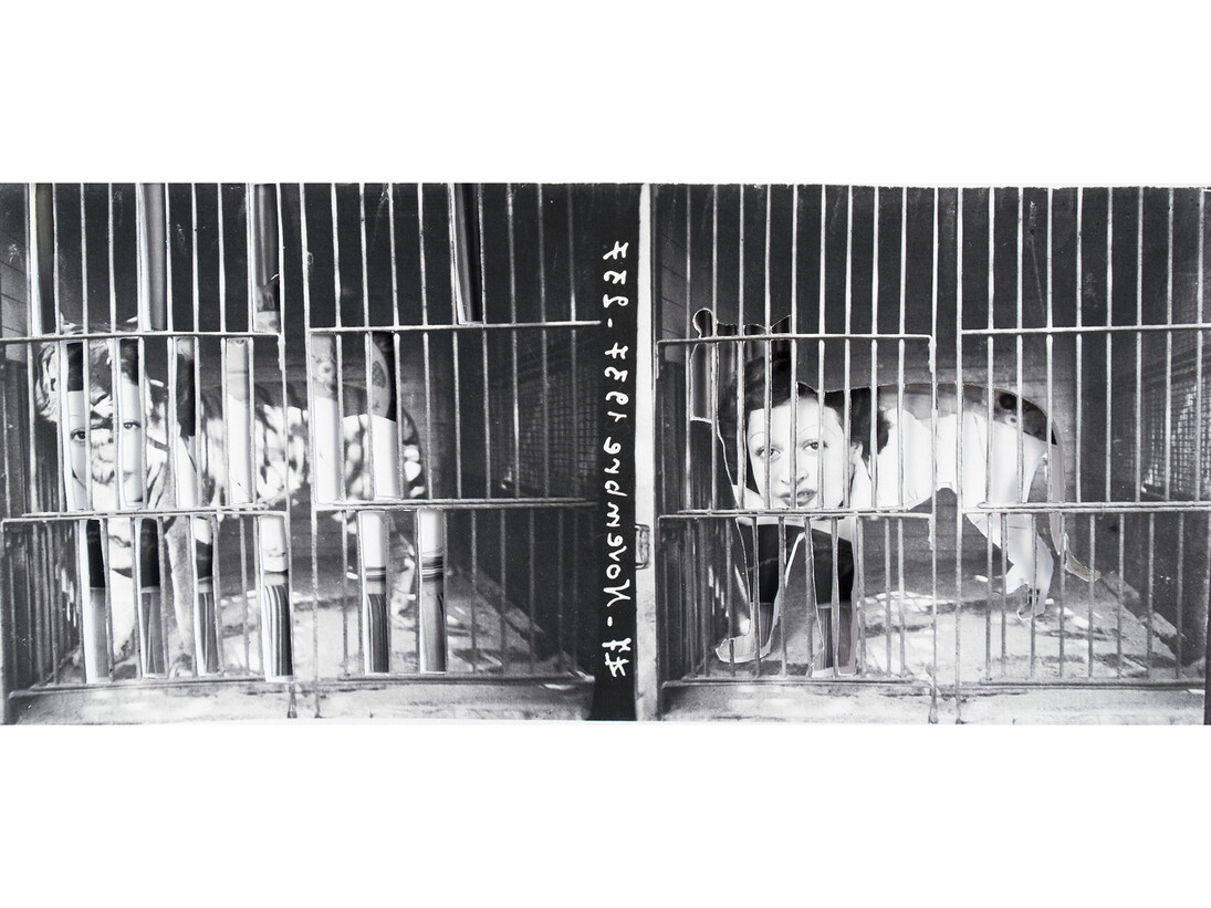 Yesmine Ben Khelil, Une femme, un tigre et une cage (II), 2015, Mixed media, 12h x 27w cm, Vintage image sourced from beit el bennani, courtesy of the artist and Selma Feriani Gallery