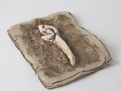 Lotus Legend, 1984, Earth, artist-made handmade paper, linen, beeswax and hydrocal, 5.1 x 39.4 x 30.5 cm, 2 1/8 x 15 1/2 x 12 1/8 ins © Michelle Stuart