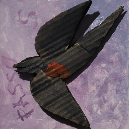 Passus - Foto di Valeria Nonni