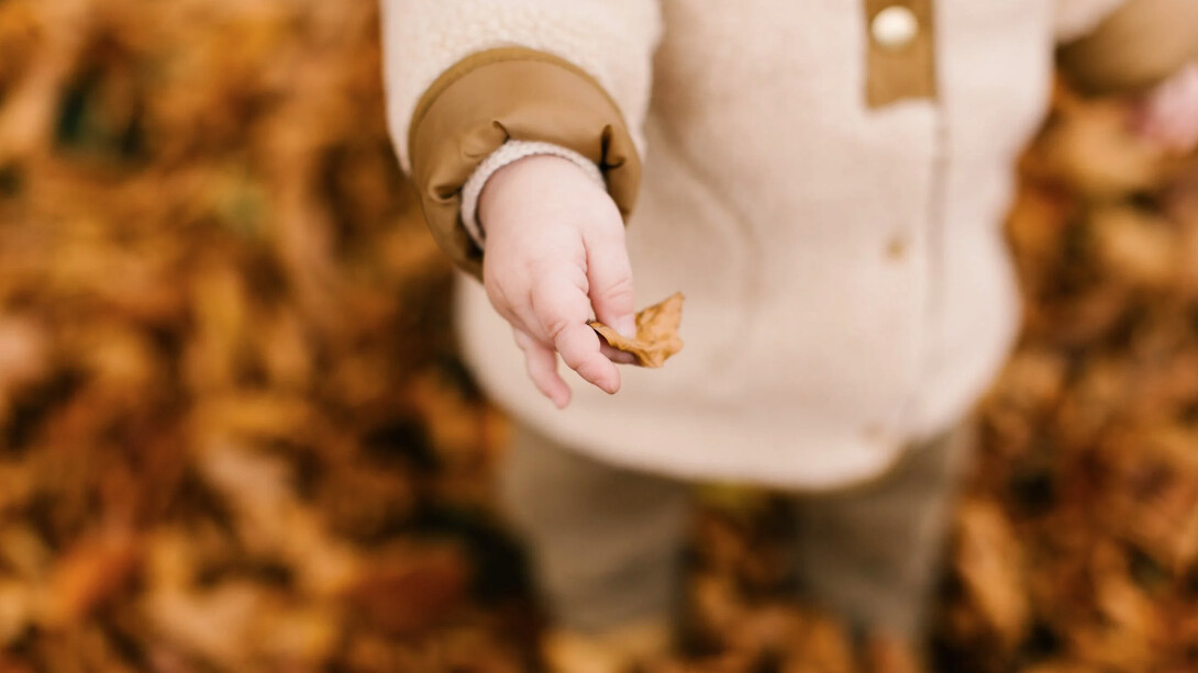 Un bambino con un cappotto autunnale prende tra le mani una foglia arancione tipica del mese di Ottobre