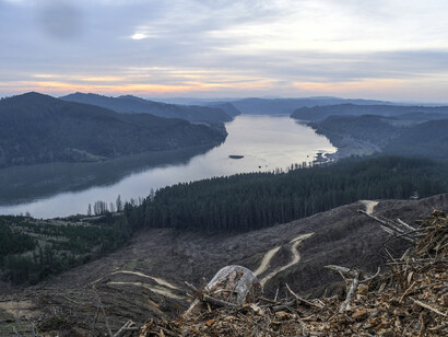 Las consecuencias de las decisiones de Pérez Rosales han transformado el paisaje del sur de Chile para el resto de la eternidad