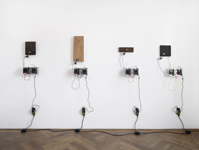 Bagus Pandega, Sumber alam, exhibition view. Courtesy of Kunsthalle Basel