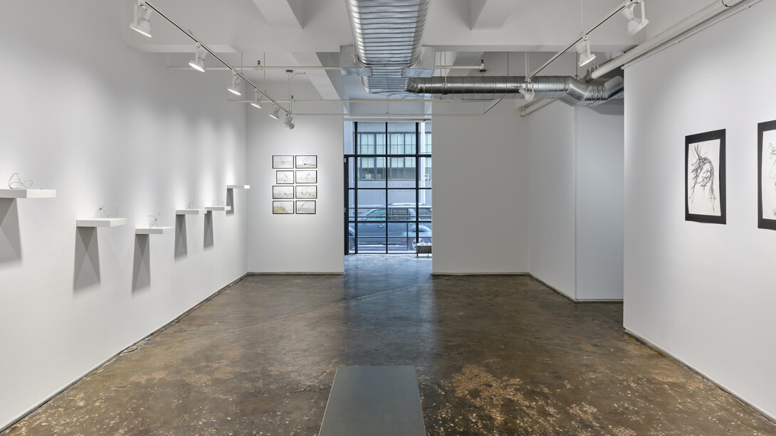 Exhibition view, Carolyn Martin, Strength In Structures, 2024, A.I.R. Gallery, Brooklyn, NY