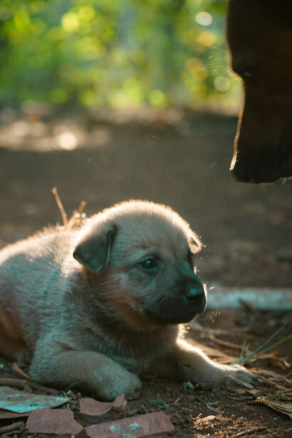 Cuando se van, dejan un vacío que solo puede llenarse con la memoria de todo lo que hicieron especial cada día compartido