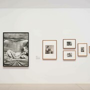 Various artists, Women photographers 1853–2018, exhibition view. Courtesy of National Gallery of Australia