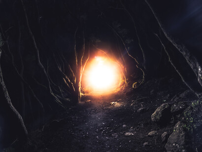 A little in the tunnel of the trees in the forest
