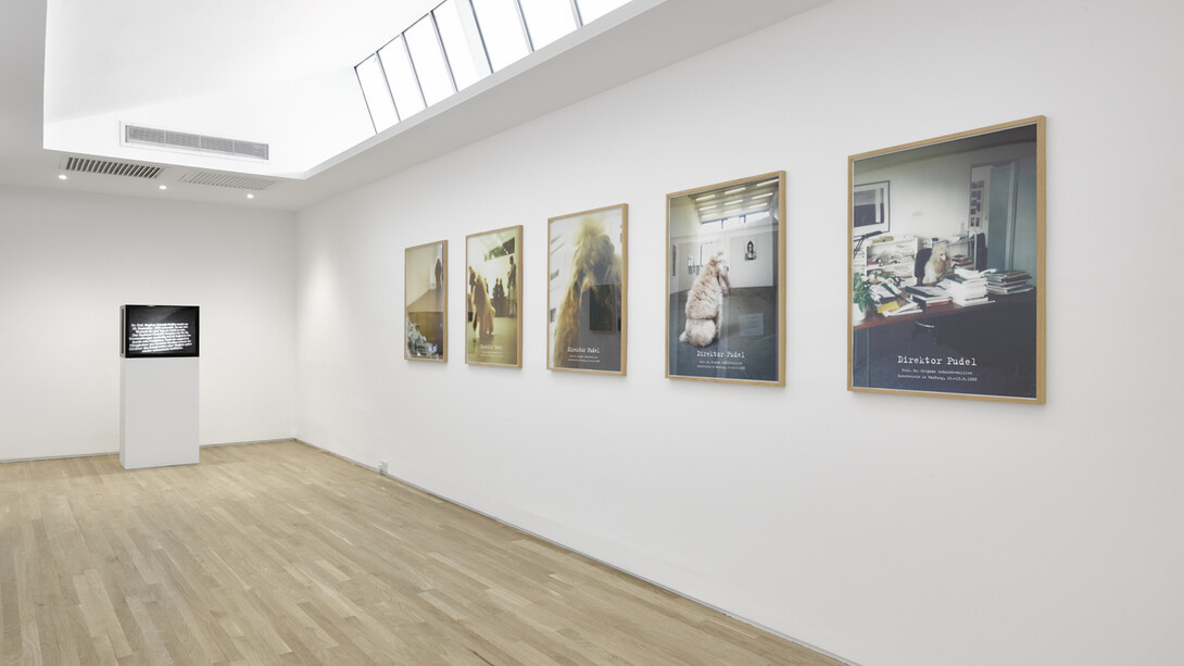 Lisson Presents..., Exhibition view. Courtesy of Lisson Gallery 