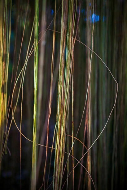 Jungle Road 12-12-44, 2012, Archival pigment print, printed 2014, 60 x 40 inches, edition of 8 © Laurie Lambrecht.