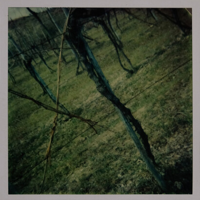 Germano Sartelli, From the shot to the work: Germano Sartelli and the polaroid, picture in exhibition (detail). Courtesy of Pallavicini22 Art Gallery 