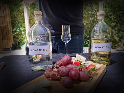 Degustación de piscos premium de mal paso en Hacienda, Huamalata, Ovalle, Chile