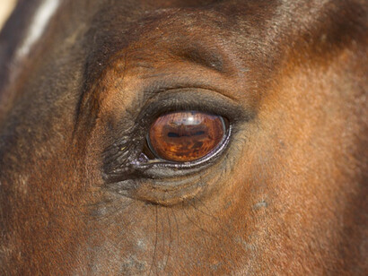 Shaun Gladwell. Courtesy of Tel Aviv Museum of Art