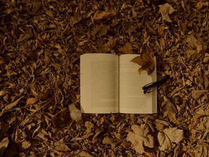 Aventura en medio del bosque