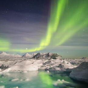 Canada Goose Arctic Gallery. Courtesy of Canadian Museum of Nature