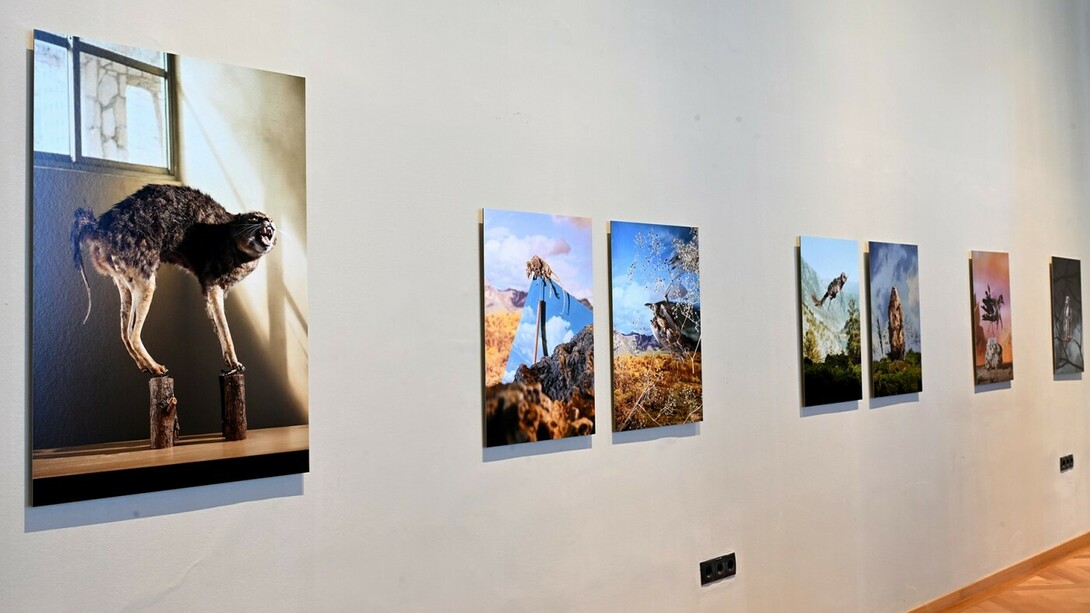 It's not just the ravages of time, exhibition view. Courtesy of Naturhistorisches Museum Wien