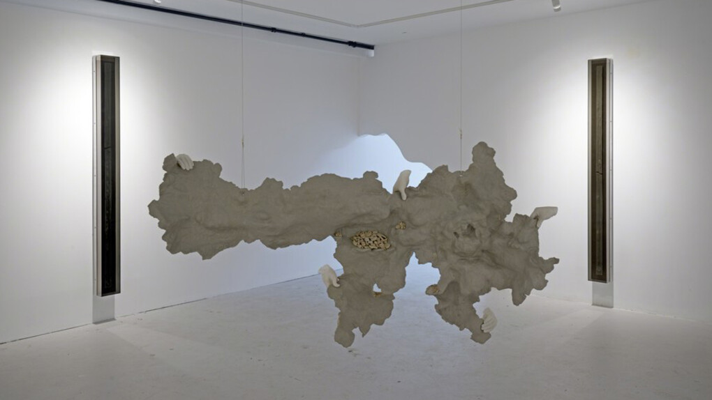 Of the water. Courtesy of GRIMM 