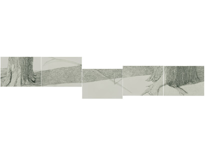 Gabriela Albergaria, O Balanço da Árvore Exagera a Tempestade, 2014, Pencil on paper, 55 x 77 cm. Photo Edouard Fraipont