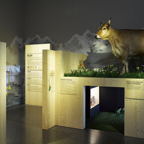 An artificial cow pasture invites children to play. © Swiss National Museum
