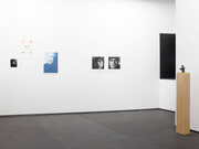 Various artists, Fire, air and jasmine water: faces, exhibition view. Courtesy of PM8/Francisco Salas Gallery