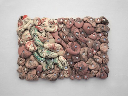 Jacana’s frontal shield or frontal as shields are frontal. Courtesy of The Workbench