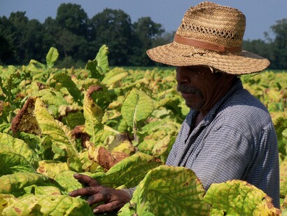Migrant farmer