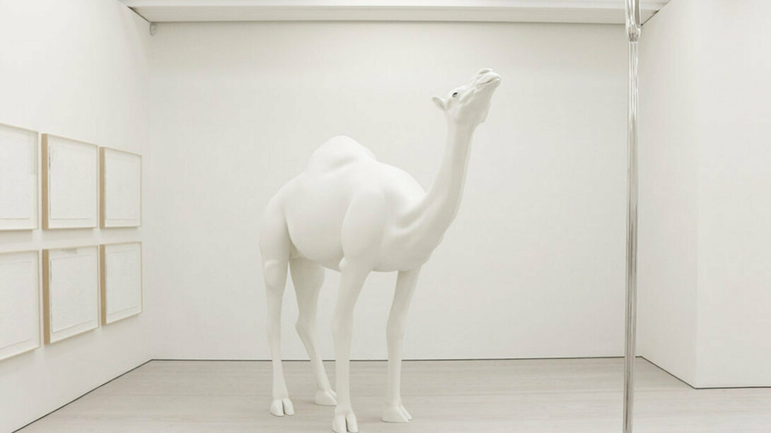 Animality, Exhibition view. Courtesy of Marian Goodman Gallery