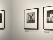 Peuple de la Nuit. Courtesy of David Hill Gallery