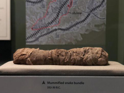 Eternal Life in Ancient Egypt. Courtesy of Smithsonian's National Museum of Natural History