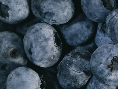 Prunus spinosa. Ainda que as PEC’s estejam associadas de forma negativa a períodos de escassez de alimentos, têm sido objeto de crescente interesse das populações rurais