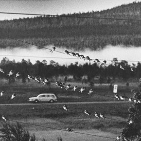 Finnish Everyday Life. Courtesy of The Finnish Museum of Photography
