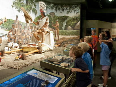 Waterways & Wildlife. Courtesy of Florida Museum of Natural History