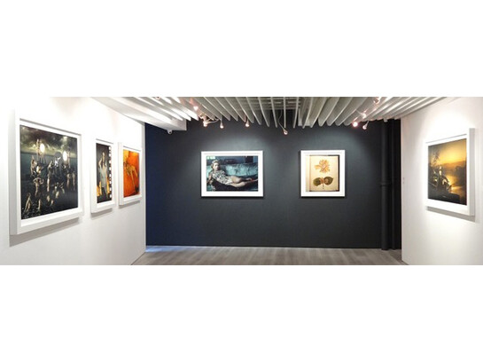 ‘Forces of Nature: Annie Leibovitz and Hiroshi
Senju’, Sundaram Tagore Gallery Hong Kong,
2015