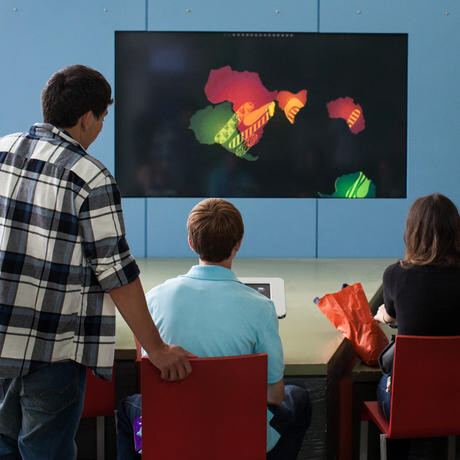 Earthquake. Courtesy of California Academy of Sciences