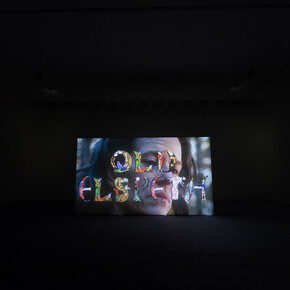Rachel Rose. Courtesy of Fondazione Sandretto Re Rebaudengo