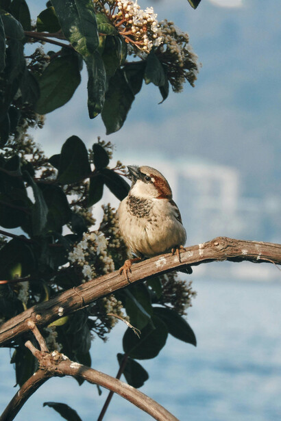 Las actividades en la naturaleza fomentan la conexión con el entorno y reducen el estrés