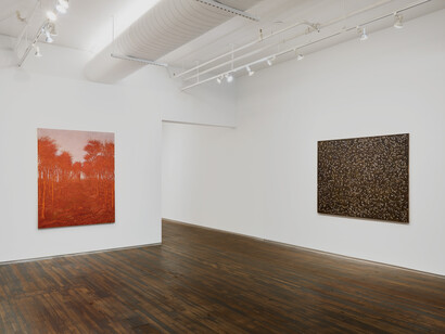 Francesco Cima, Vedrai, vedrai, exhibition view. Courtesy of Amanita