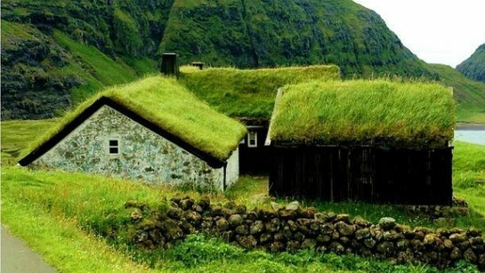 The typical icelandic houses with their grass roofs