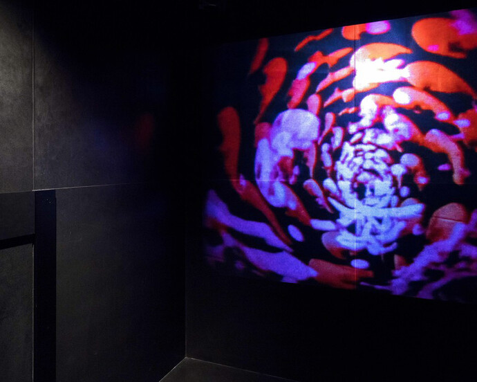 Toshio Matsumoto. Courtesy of Empty Gallery