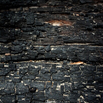 Un tempo, il carbonaio rappresentava una figura essenziale nelle economie rurali, specialmente nelle aree montane ricche di boschi cedui