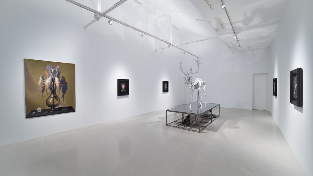 Mat Collishaw, Vivisystem, exhibition view. Courtesy of Hilario Galguera Gallery