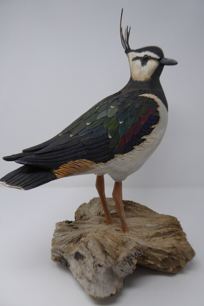 John & Marilyn Davies. Courtesy of Ffin Y Parc